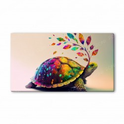 Timmy'nin Kabuğu: Bir Hikayenin İzleri