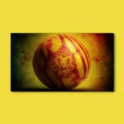 Aslan armalı Galatasaray futbol topu