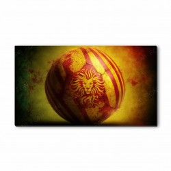 Aslan armalı Galatasaray futbol topu